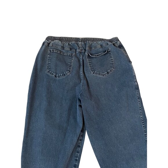 D & Co. Blue Jean Denim Elastic Waist Stretch Jeans Women's Size 1XP - Picture 5 of 7